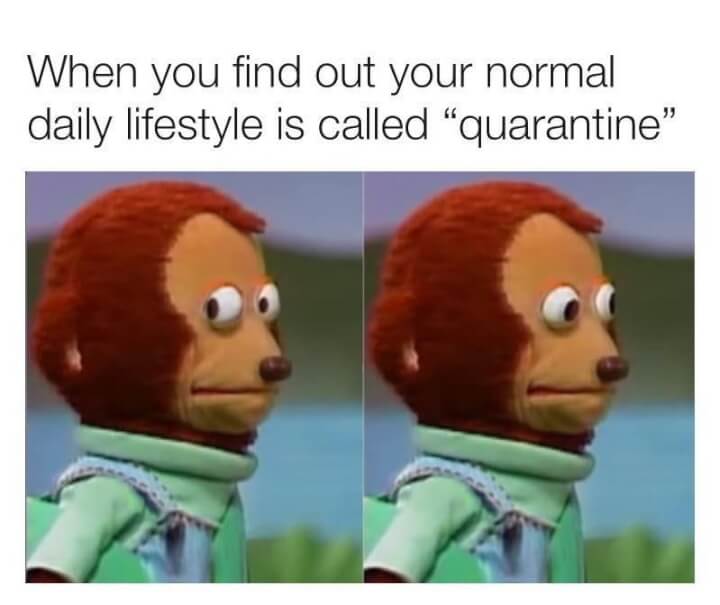 quarantine lifestyle meme