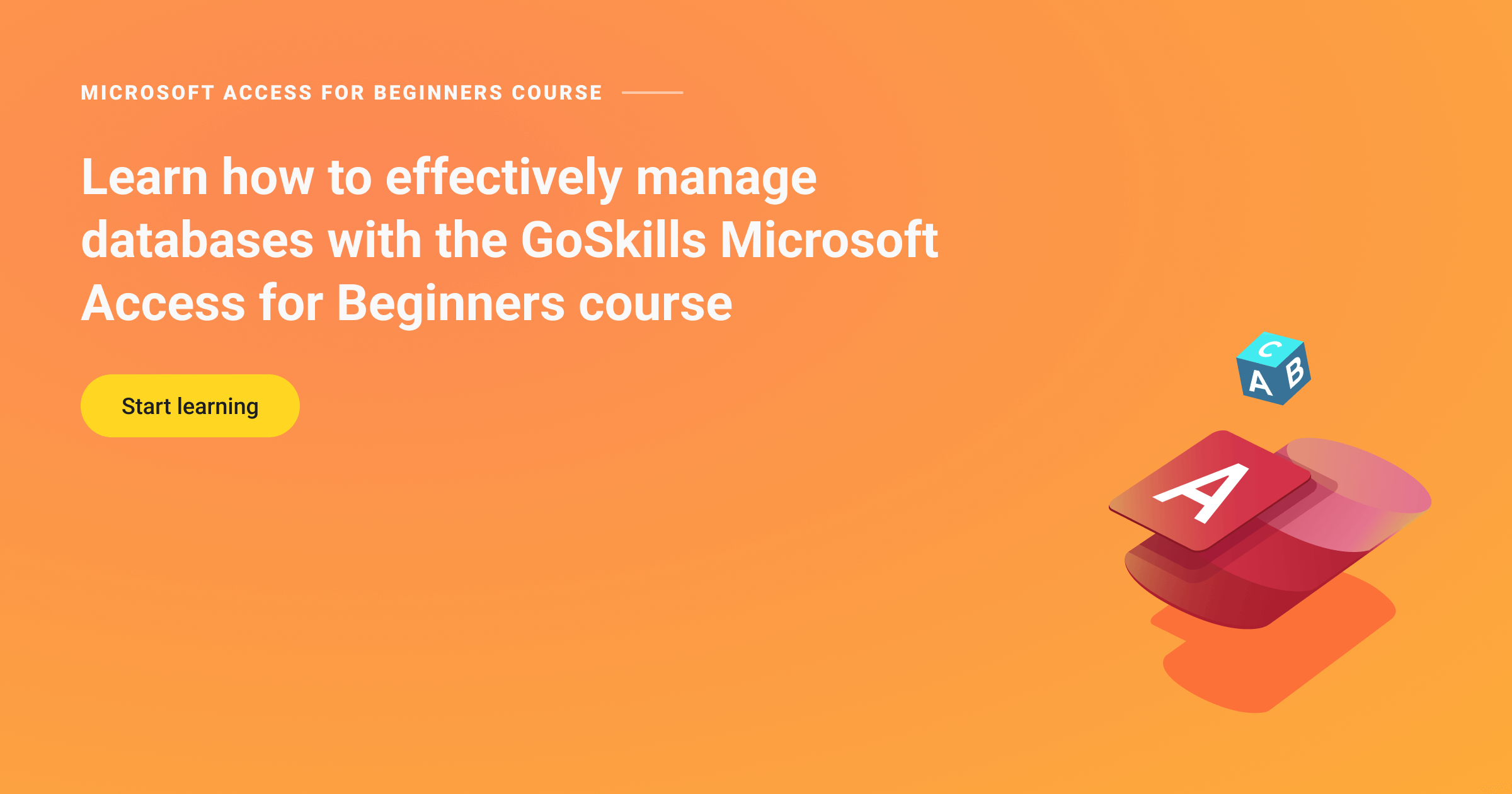 microsoft access tutoring for beginners