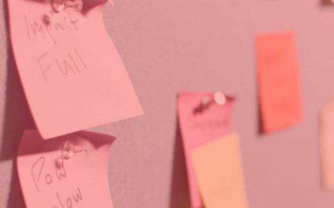 Project Manager Roles & Responsibilities in 2022
