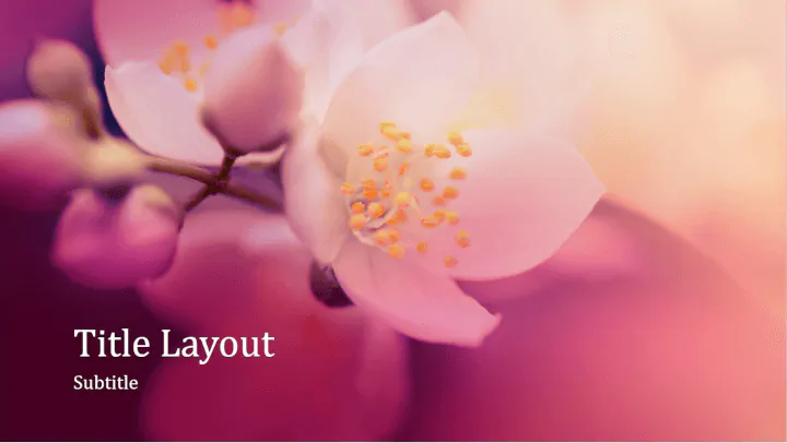 Cherry blossom PowerPoint template