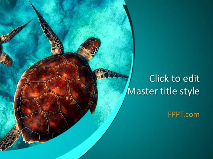 Sea turtle PowerPoint template