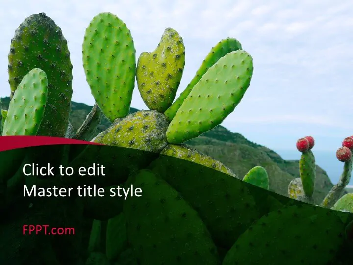 Cactus design PowerPoint template