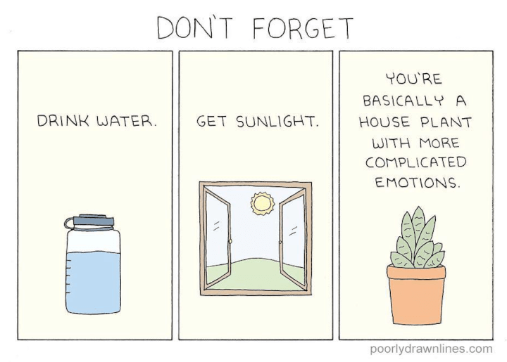 houseplant meme