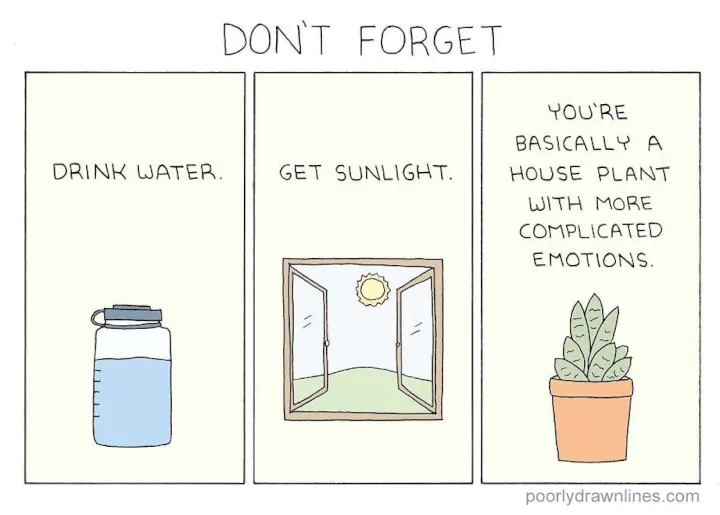 houseplant meme