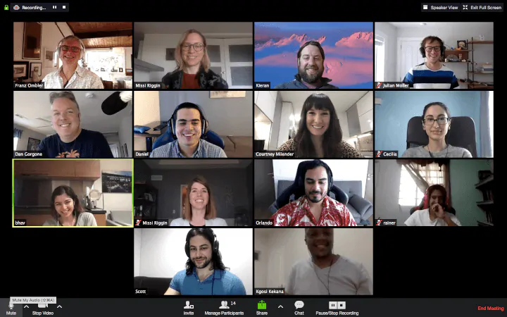 team on video conferencing call