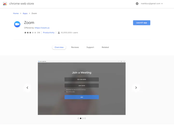 zoom chrome web store