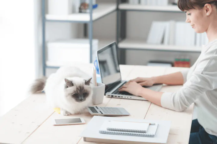 woman working from home with cat on desk