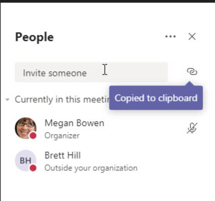 Microsoft Teams - participant panel segment>