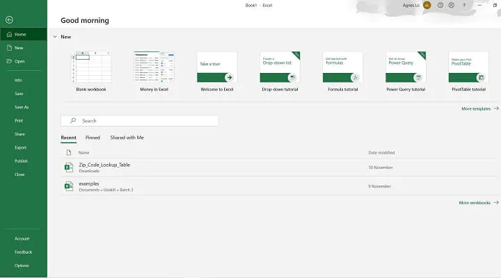 The Excel ribbon - file