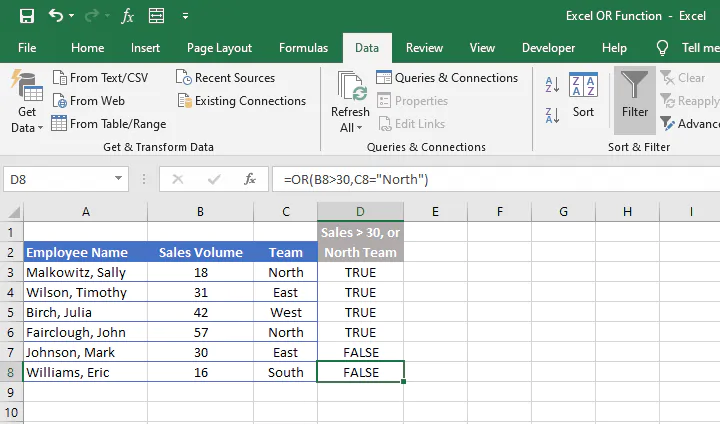 Excel OR function - filter feature