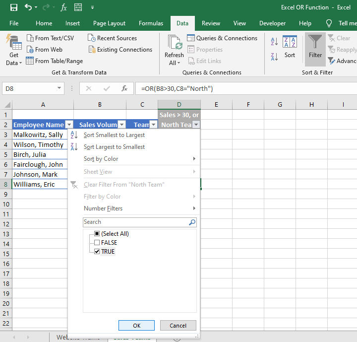 Excel OR function - filter feature