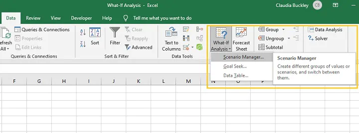 What if analysis Excel - scenario manager