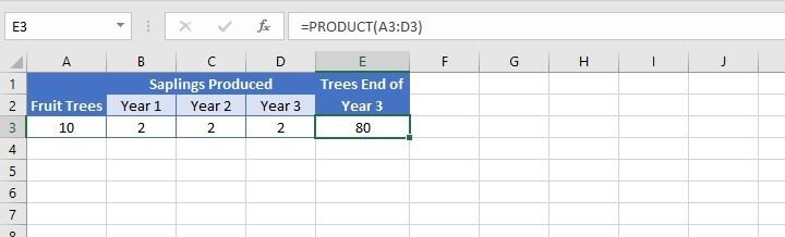 How to multiply in Excel