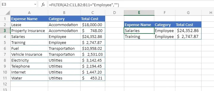 How to filter in Excel