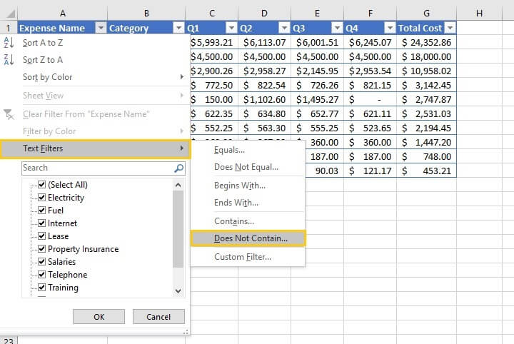 How to filter in Excel