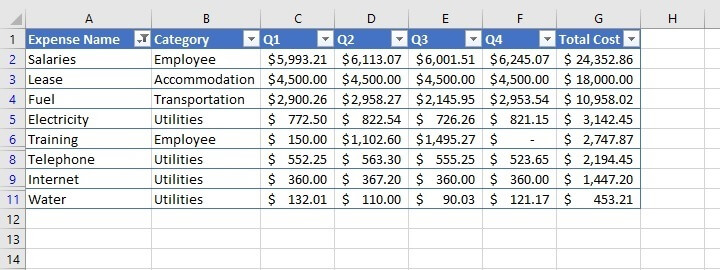 How to filter in Excel