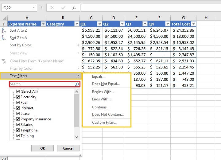 How to filter in Excel