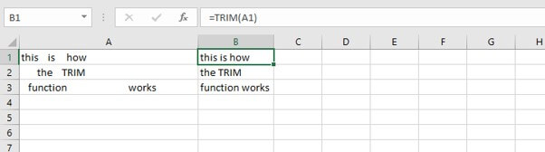 Basic Excel formulas - TRIM function