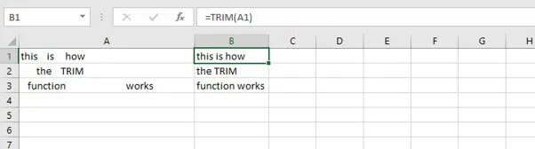 Basic Excel formulas - TRIM function