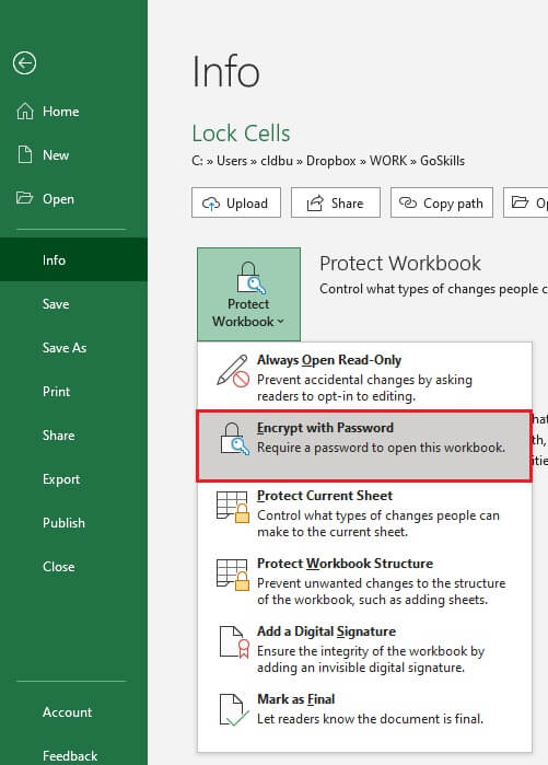 Protect a file in Excel