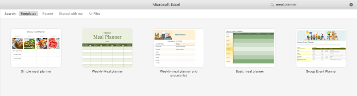 Excel travel template