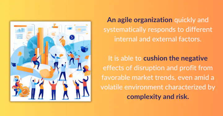 agile organization definition