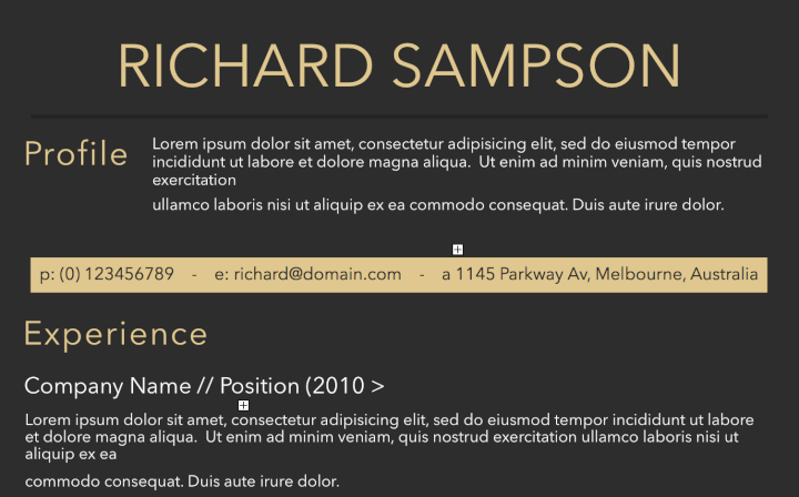 sample of ms word format resume