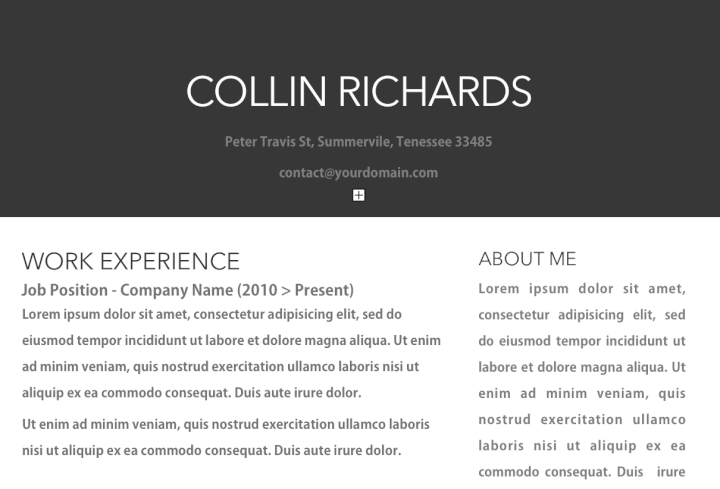 resume format on word