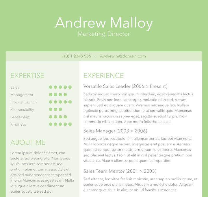 free online resume template microsoft word