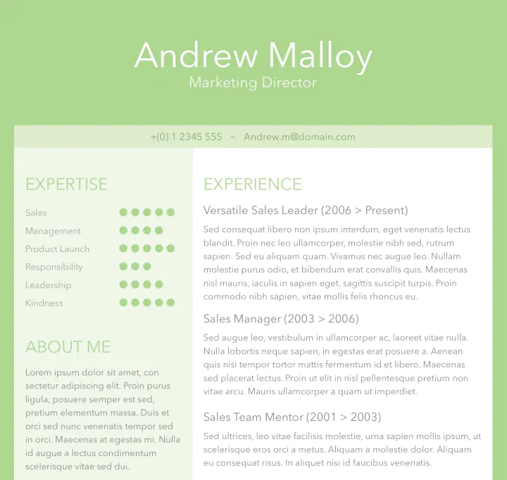 sample resume format word document download