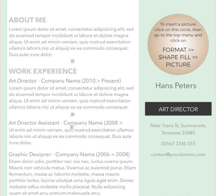 sample of ms word format resume