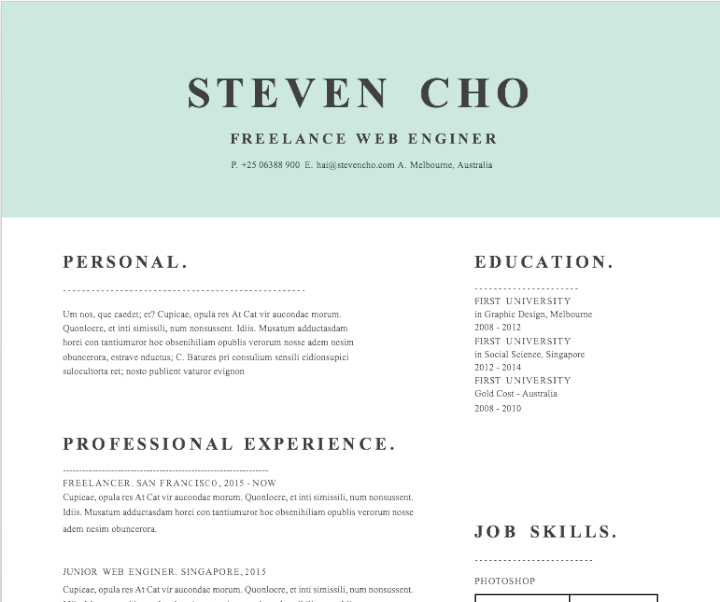 Mint block resume template