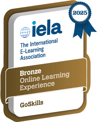 Online Learning Experience