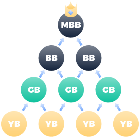 Lean six sigma belt levels