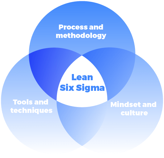 Lean six sigma elements